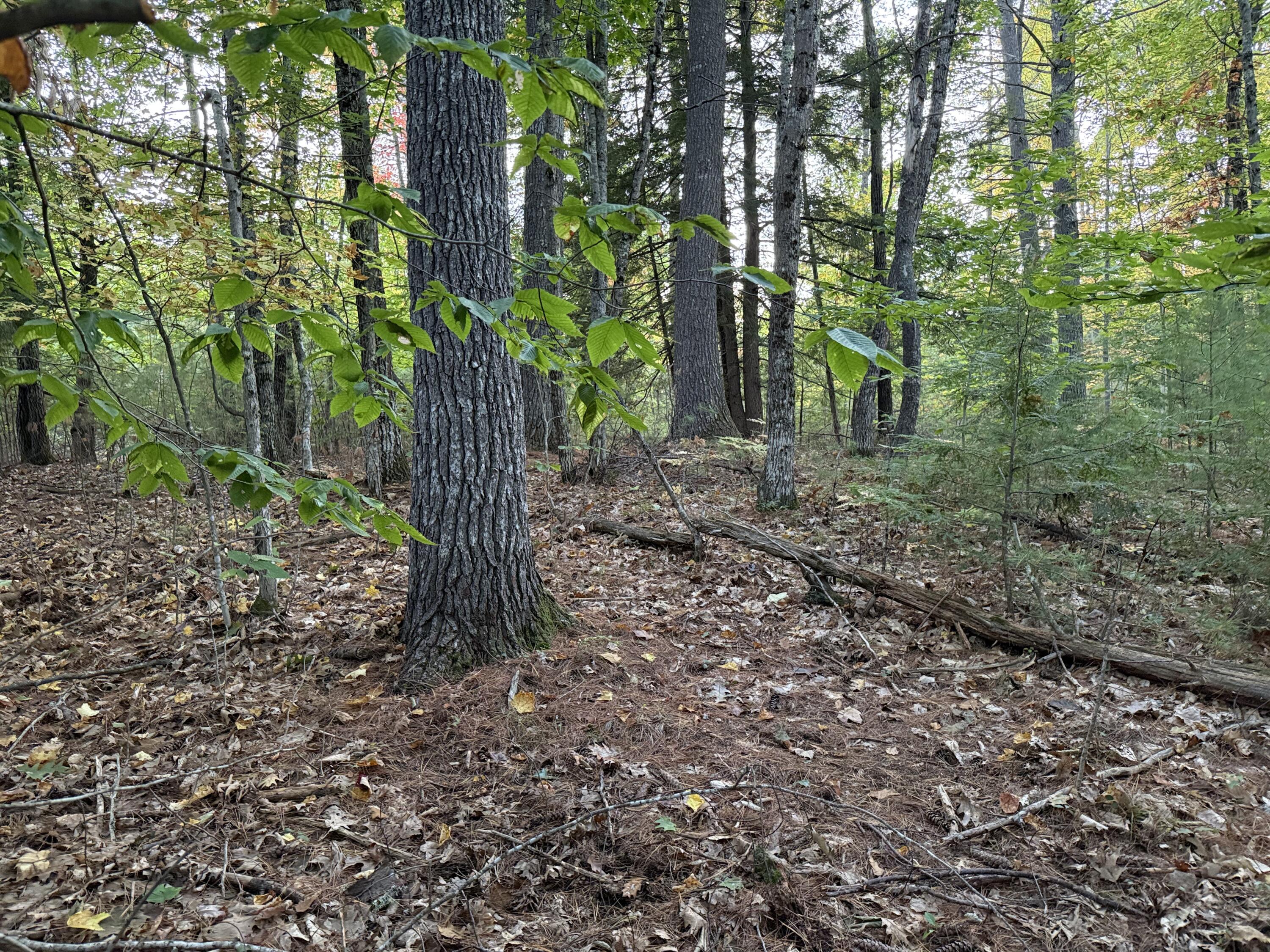 Lot 2093 Sunny Brook Circle Waterboro ME 04061