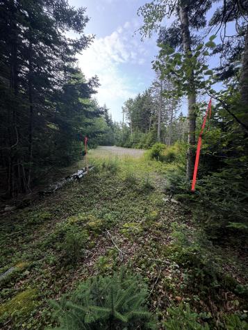 26 Wohoa Bay Drive Addison ME 04606