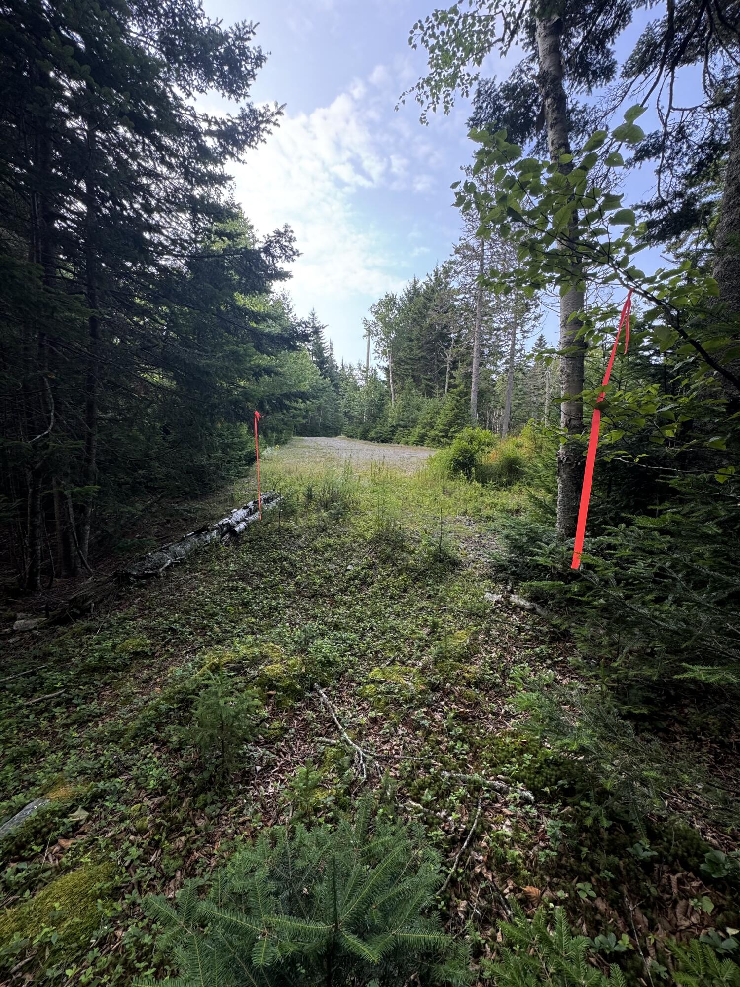 26 Wohoa Bay Drive Addison ME 04606