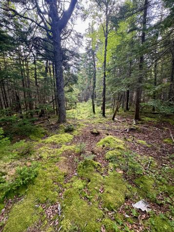 26 Wohoa Bay Drive Addison ME 04606