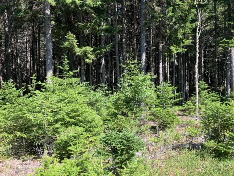 26 Wohoa Bay Drive Addison ME 04606