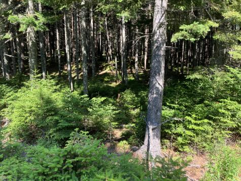 26 Wohoa Bay Drive Addison ME 04606