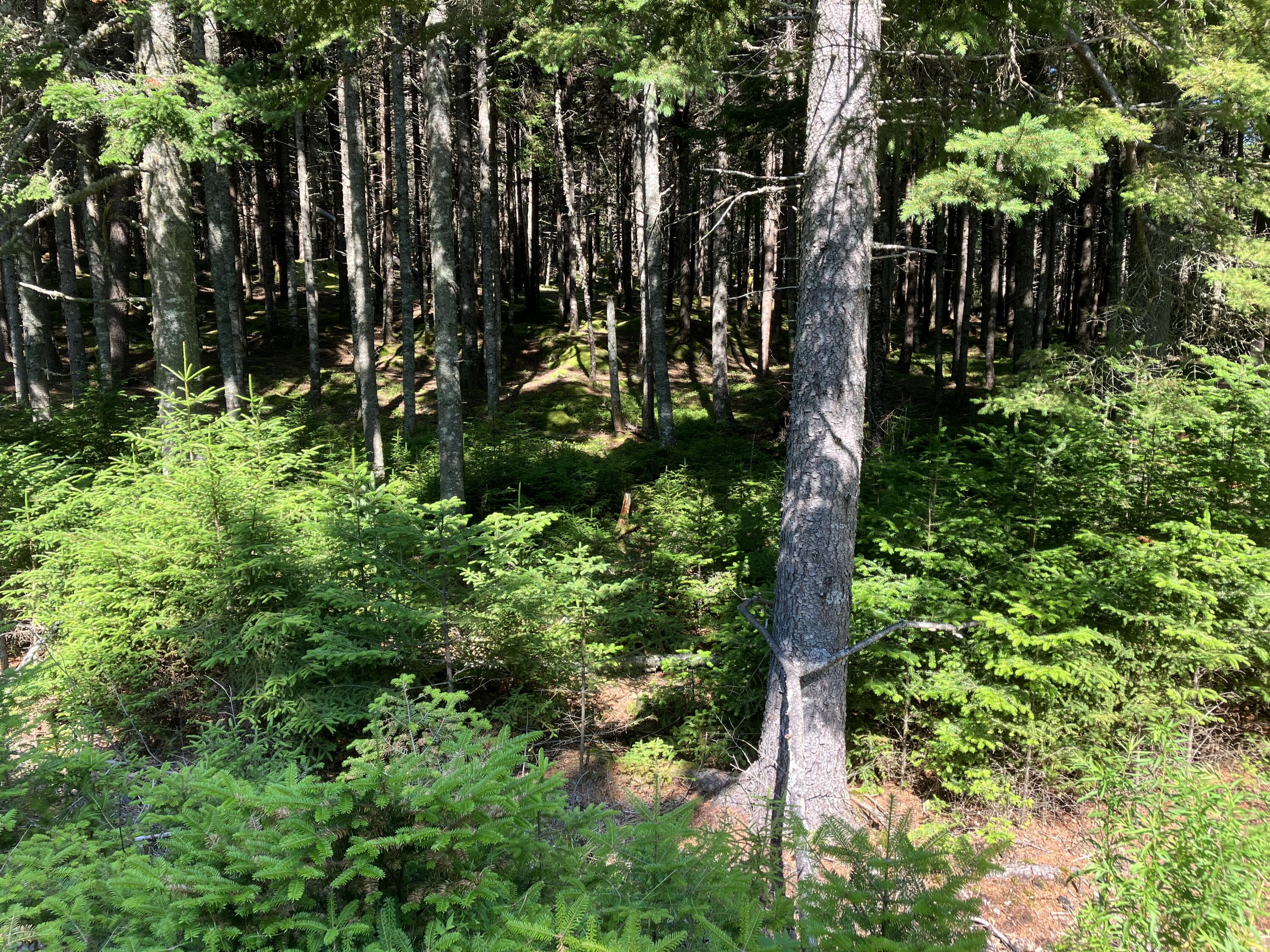 26 Wohoa Bay Drive Addison ME 04606