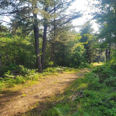 Lot A Bean Street Hollis ME 04042