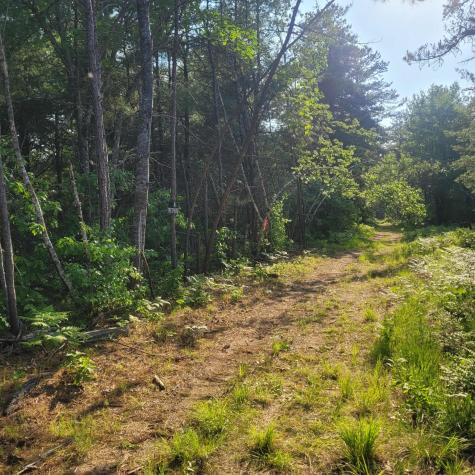 Lot A Bean Street Hollis ME 04042