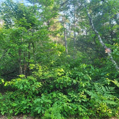 Lot A Bean Street Hollis ME 04042