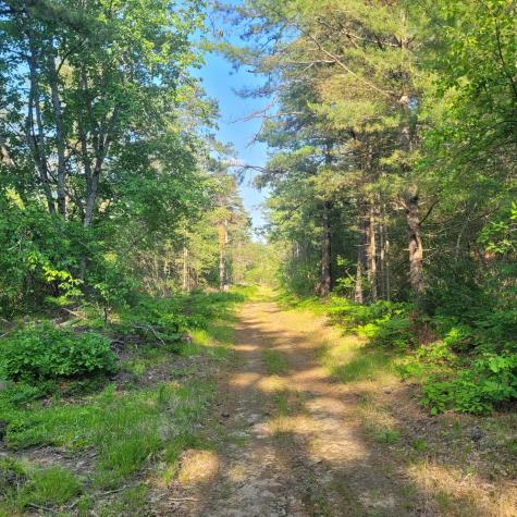 Lot A Bean Street Hollis ME 04042