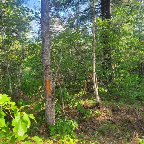 Lot A Bean Street Hollis ME 04042