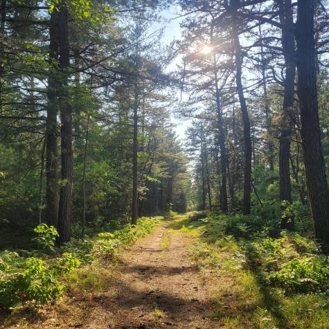 Lot A Bean Street Hollis ME 04042