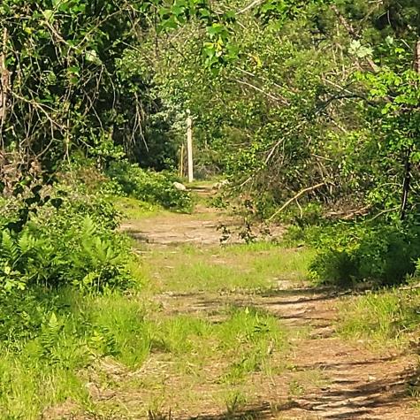 Lot A Bean Street Hollis ME 04042