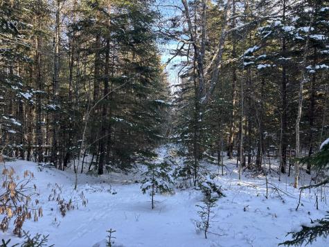 M11L17C Rogers Point Road Steuben ME 04680