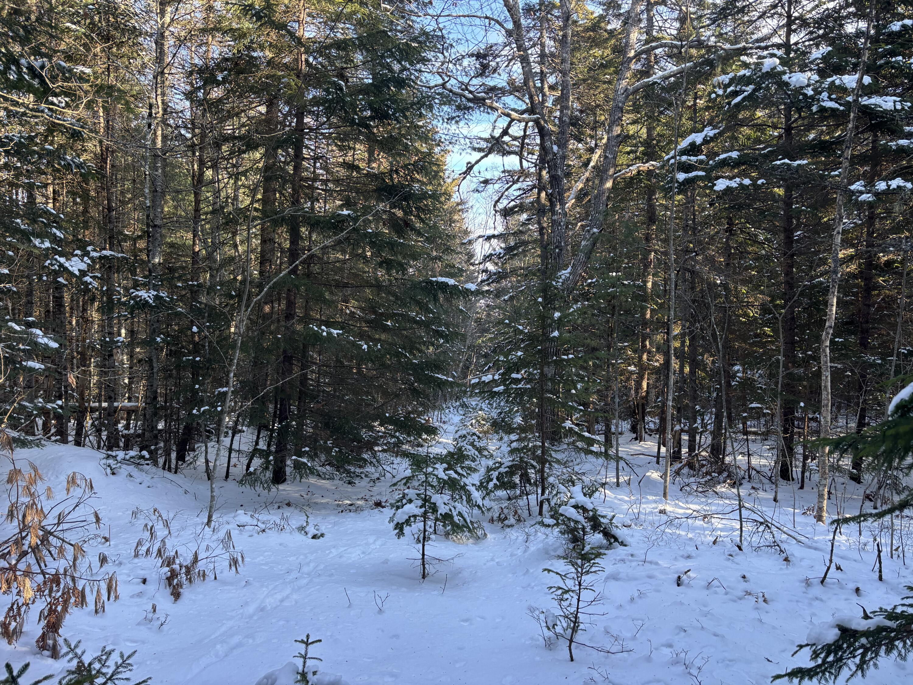 M11L17C Rogers Point Road Steuben ME 04680