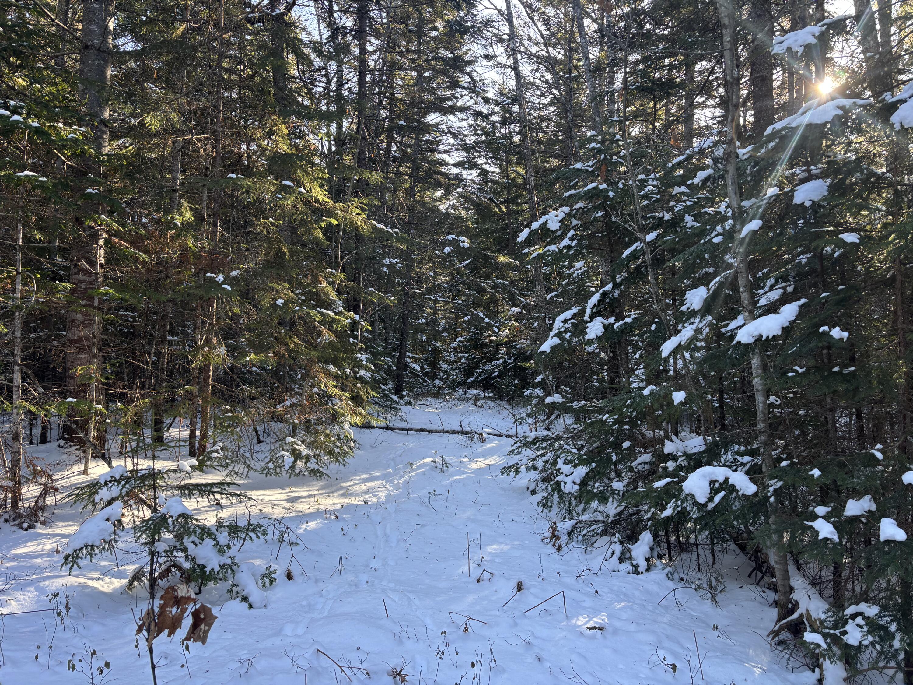 M11L17C Rogers Point Road Steuben ME 04680