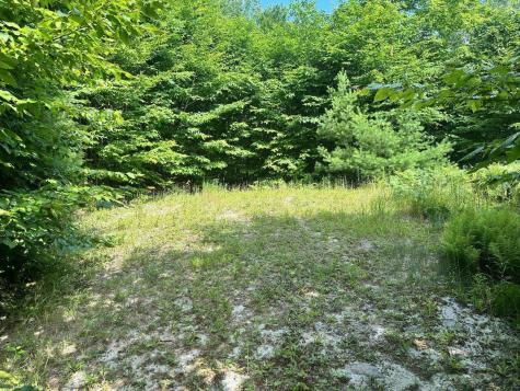 Lot 12 Hillside Drive Kingfield ME 04947