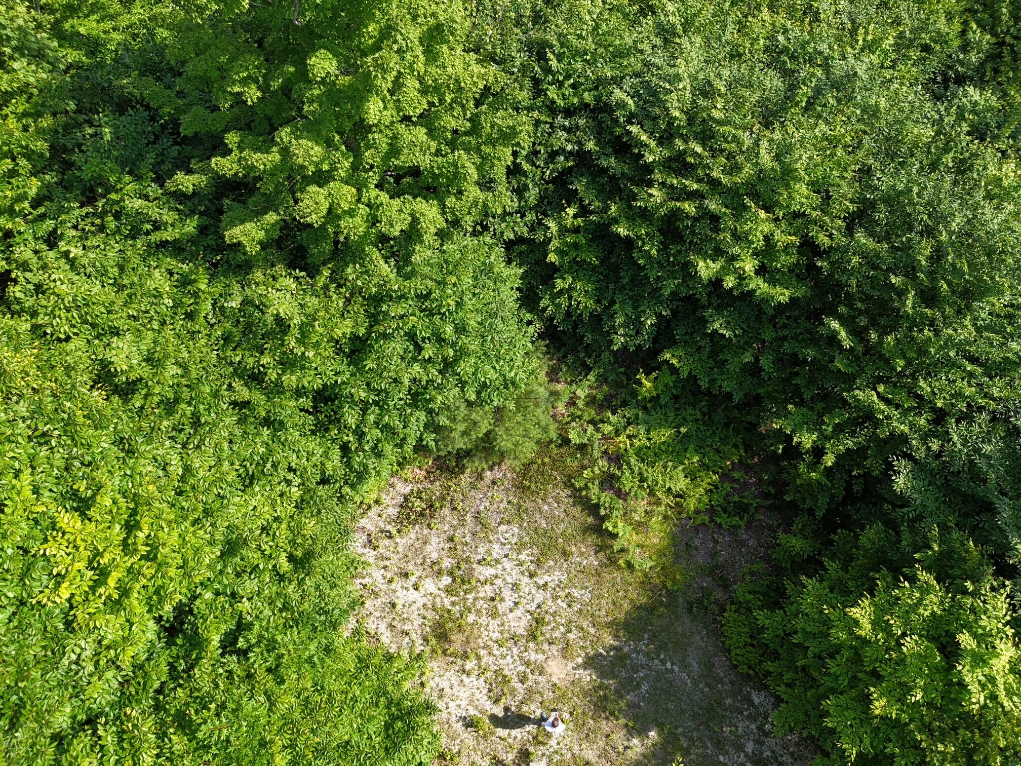 Lot 12 Hillside Drive Kingfield ME 04947