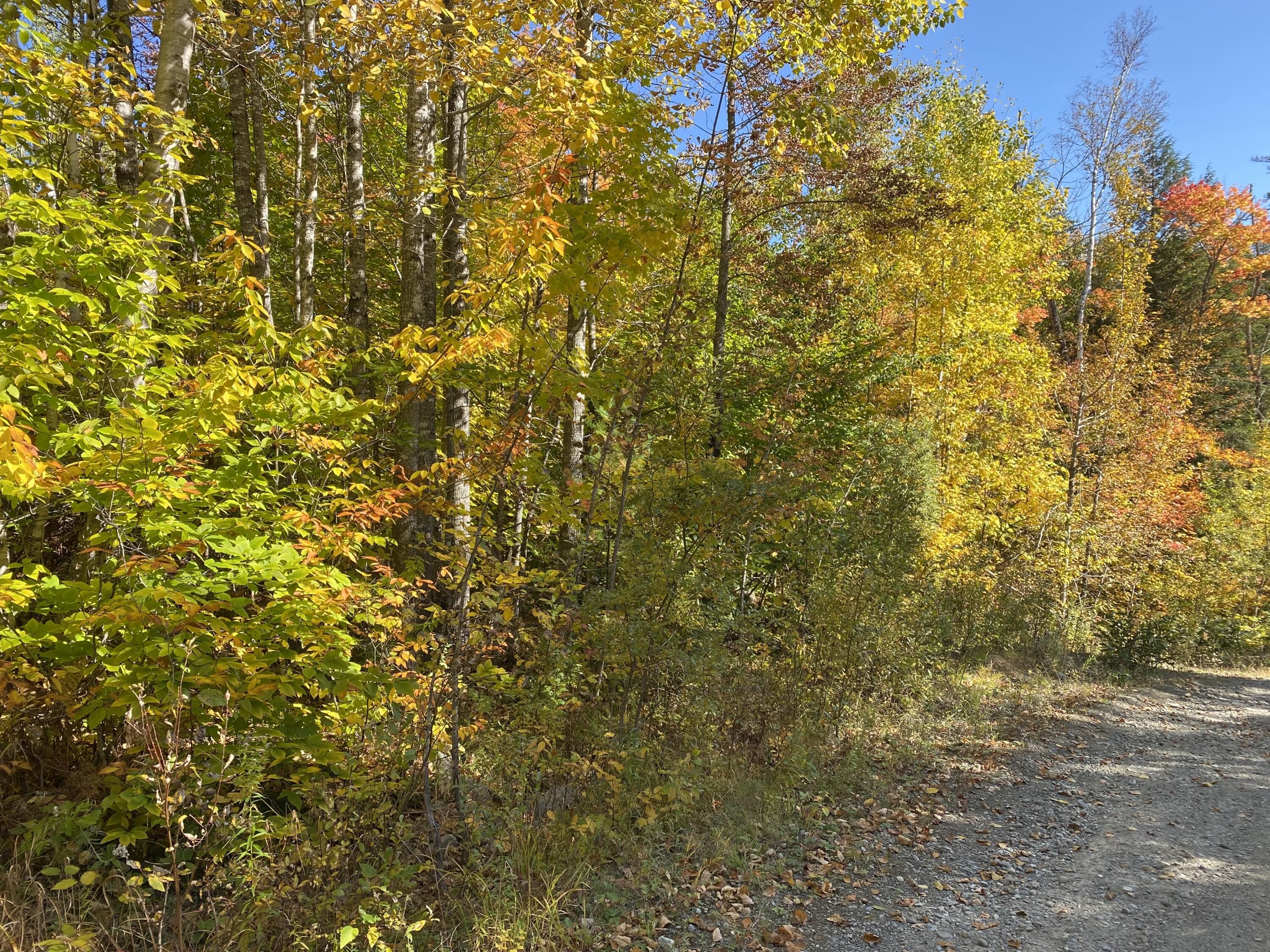 Lot 12 Hillside Drive Kingfield ME 04947