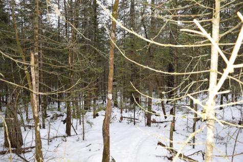 3-25 Granite Rock Circle Surry ME 04684