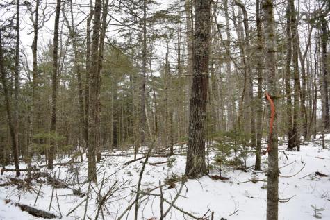 3-25 Granite Rock Circle Surry ME 04684