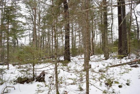 3-25 Granite Rock Circle Surry ME 04684