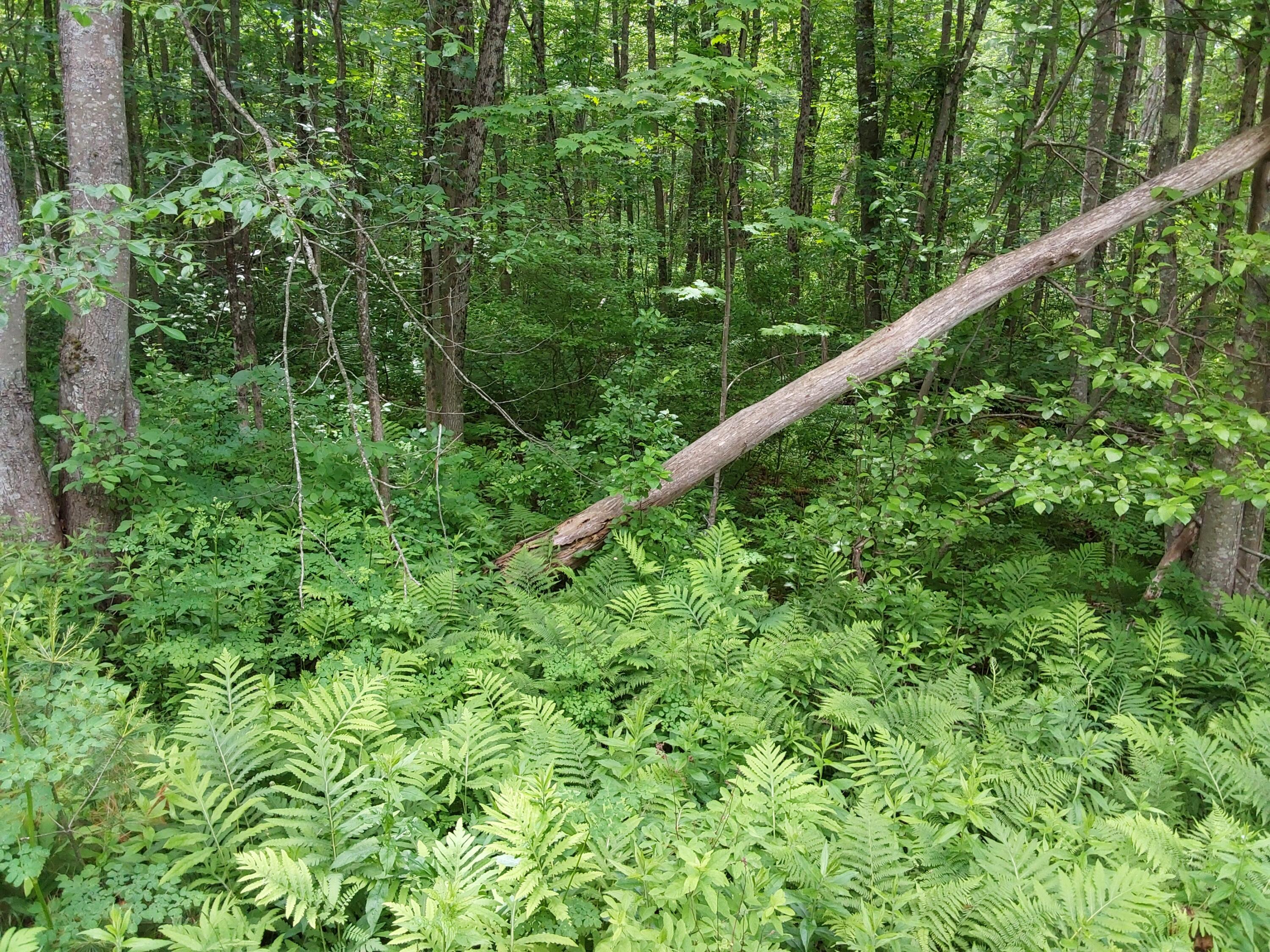 M19-l16-1 Augsuta Road Jefferson ME 04348