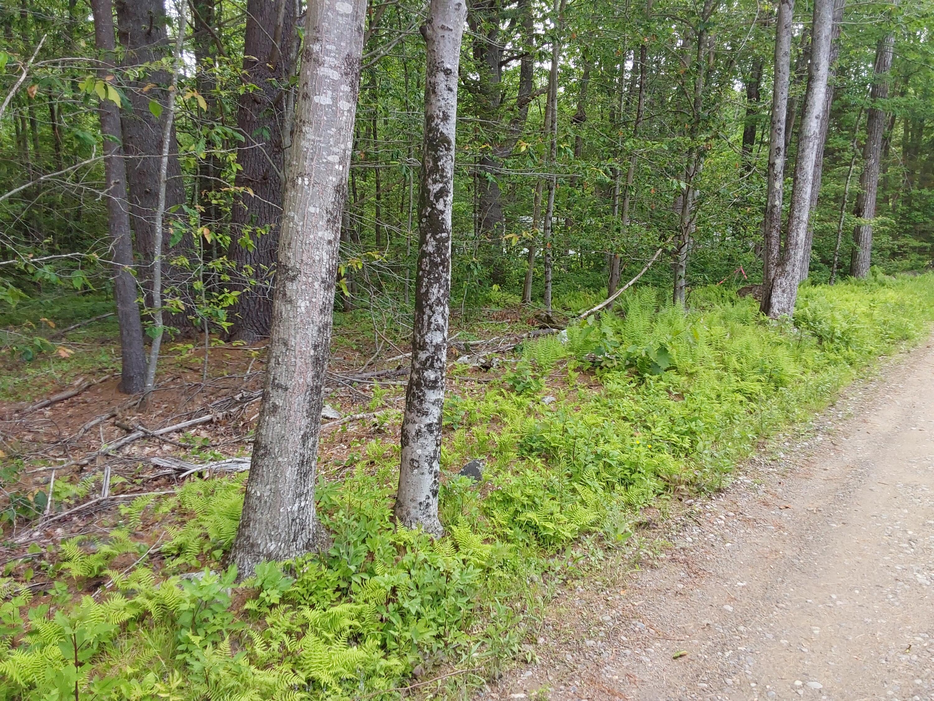 M19-l16-1 Augsuta Road Jefferson ME 04348