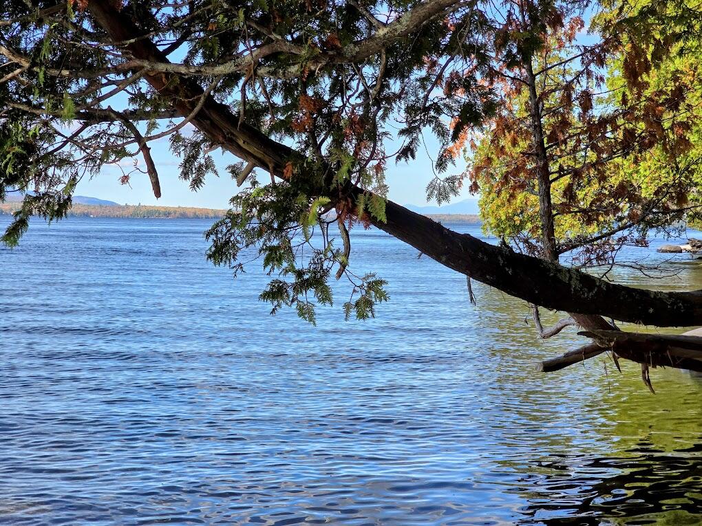 440 Railroad Bed Road Lake View Plt ME 04463