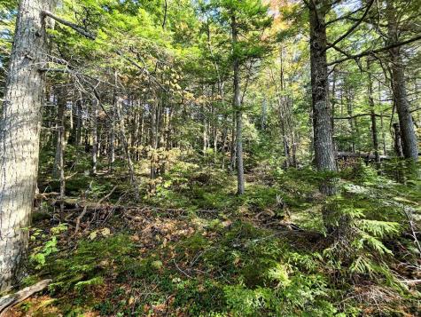 440 Railroad Bed Road Lake View Plt ME 04463