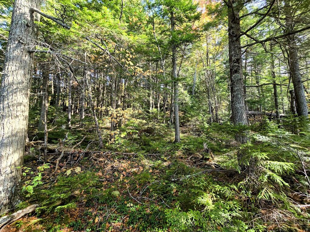 440 Railroad Bed Road Lake View Plt ME 04463