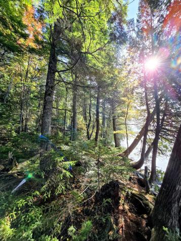 440 Railroad Bed Road Lake View Plt ME 04463