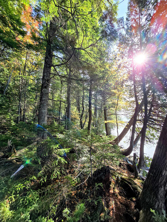 440 Railroad Bed Road Lake View Plt ME 04463