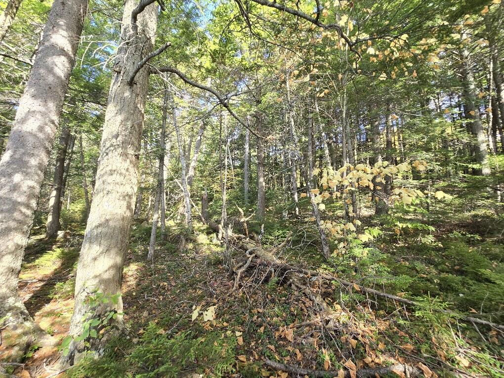 440 Railroad Bed Road Lake View Plt ME 04463