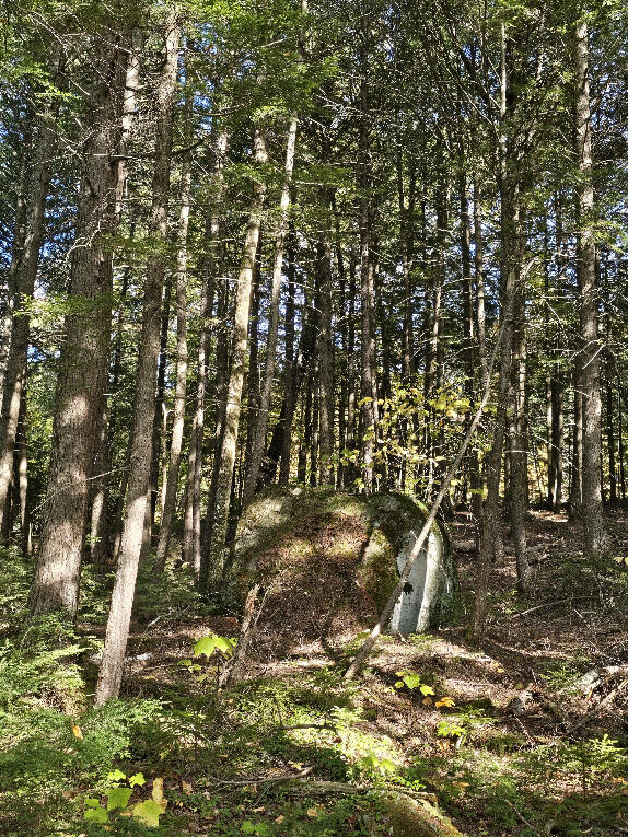 440 Railroad Bed Road Lake View Plt ME 04463