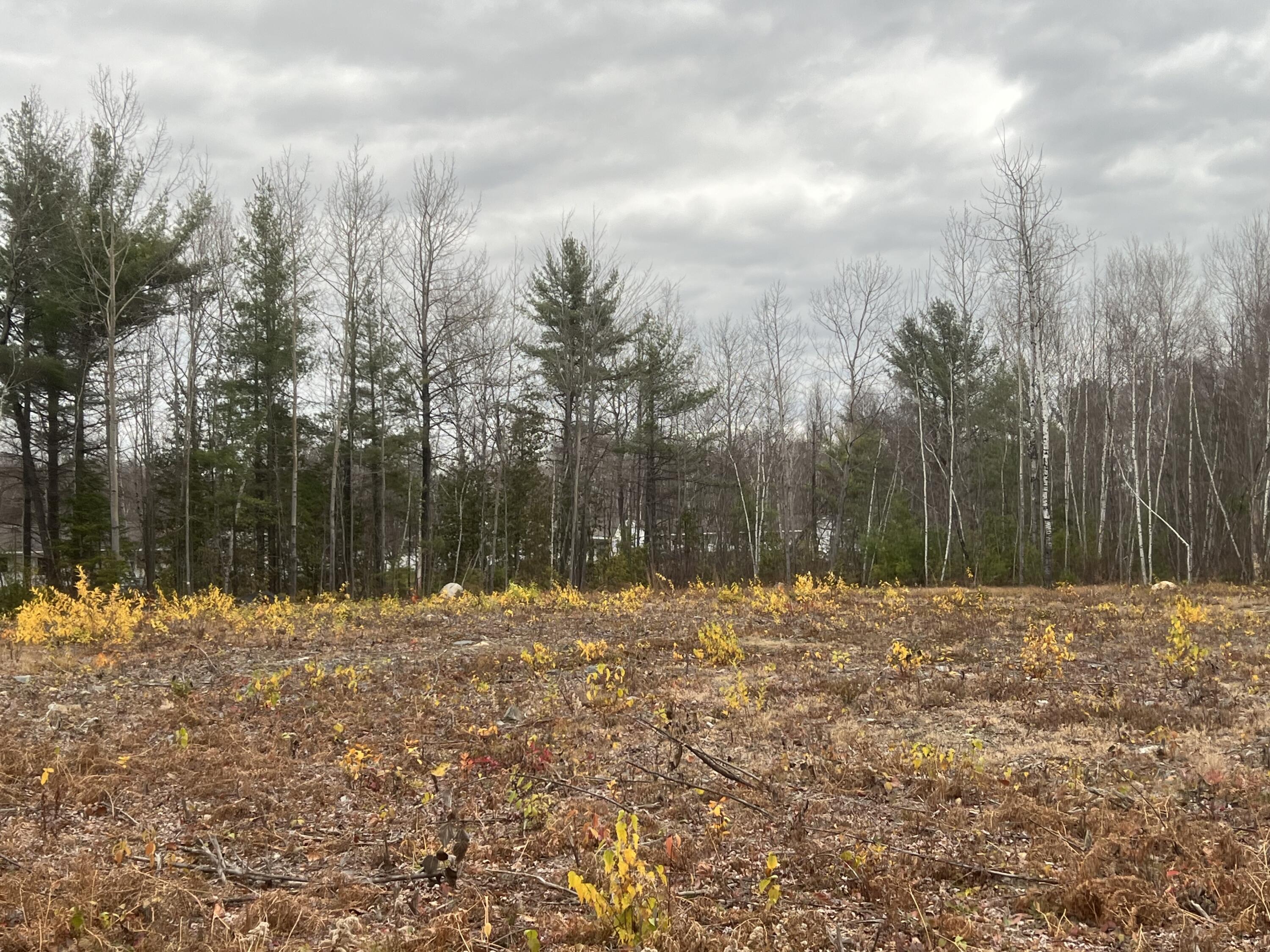 Lot # Fern Street Millinocket ME 04462