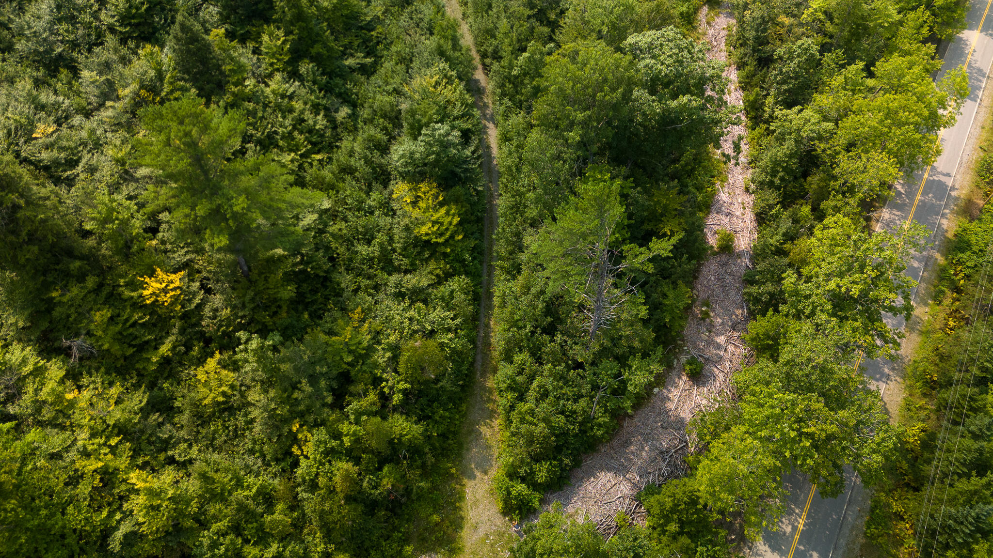 LOT8 Bear Brook Subdivision Sebec ME 04481