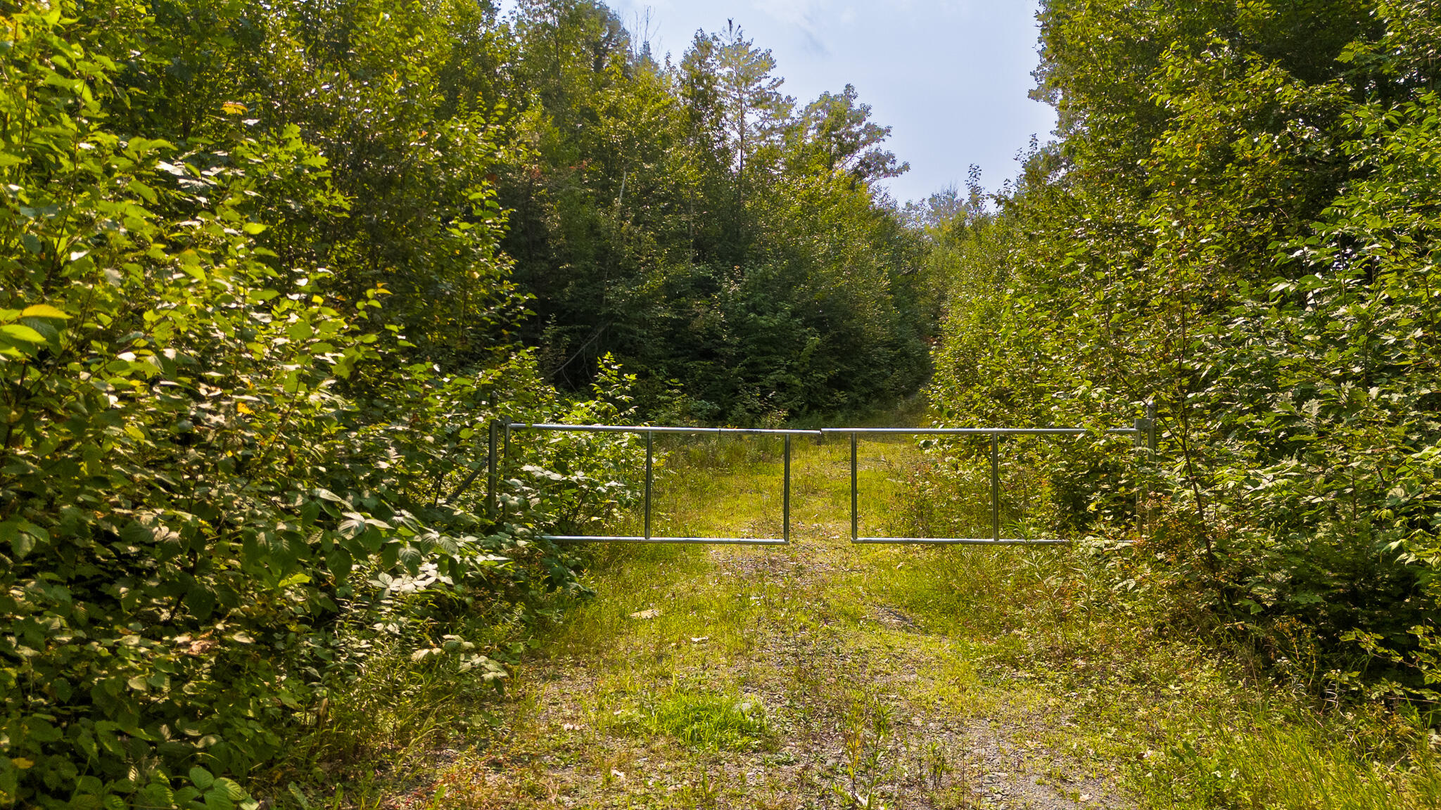 LOT8 Bear Brook Subdivision Sebec ME 04481