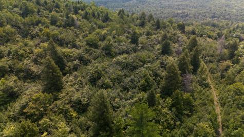 LOT8 Bear Brook Subdivision Sebec ME 04481