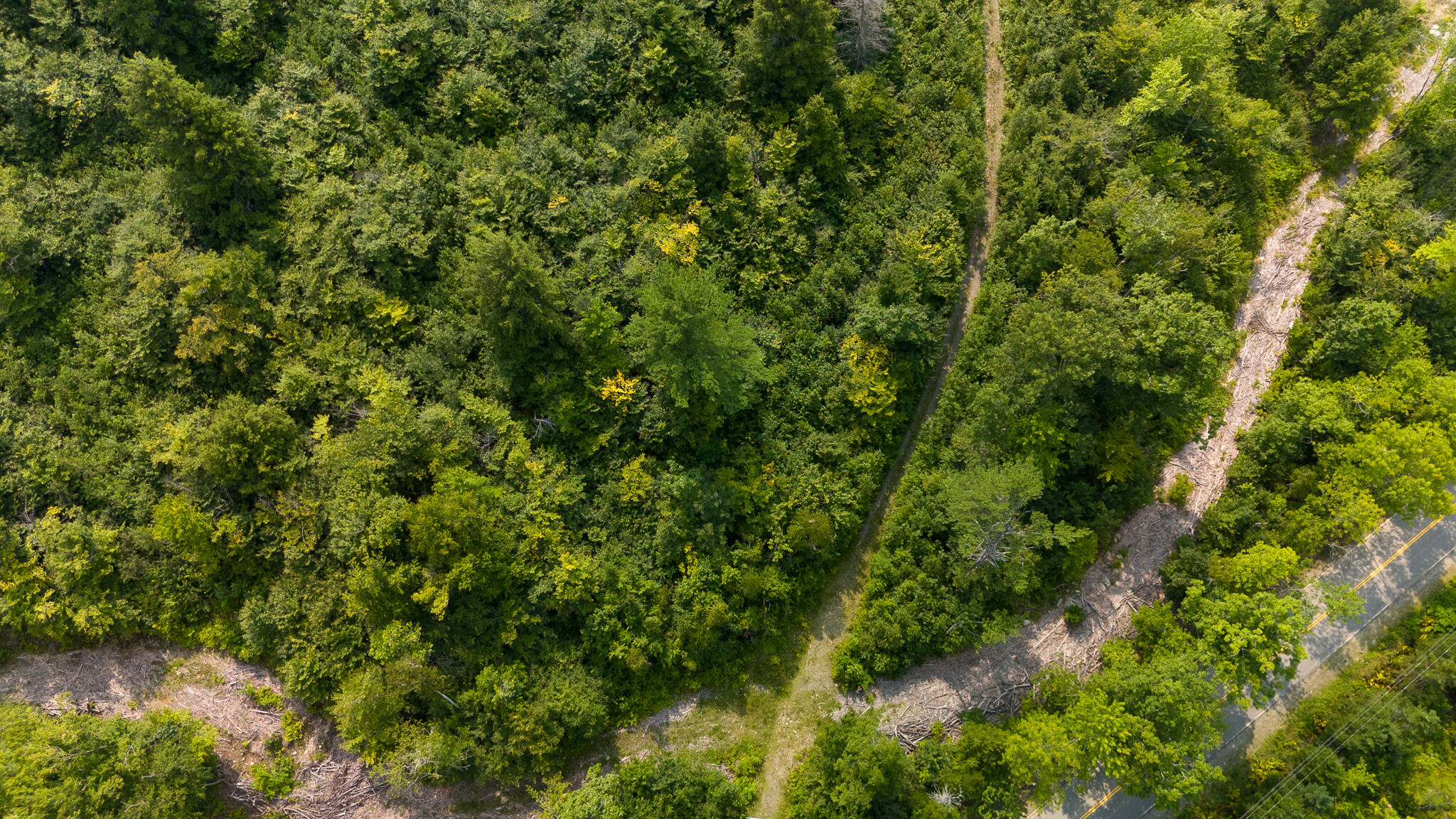 LOT8 Bear Brook Subdivision Sebec ME 04481