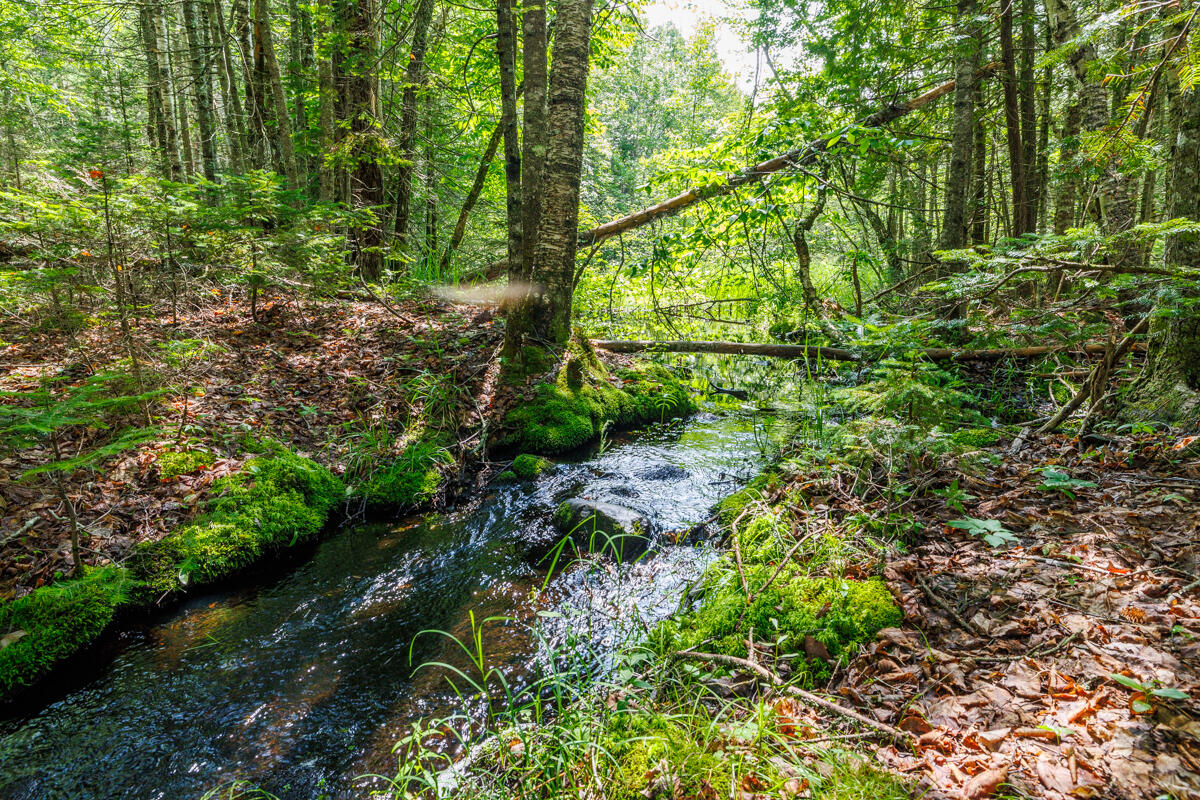 Lot 125 Us Route 1 Milbridge ME 04658