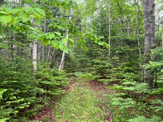 Lot 125 Us Route 1 Milbridge ME 04658