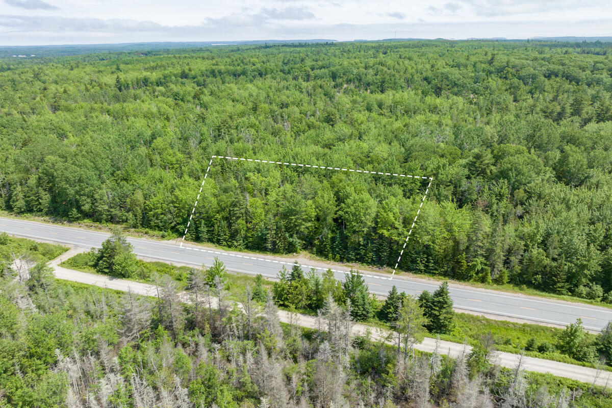 Lot 125 Us Route 1 Milbridge ME 04658