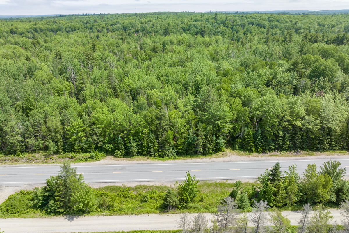 Lot 125 Us Route 1 Milbridge ME 04658