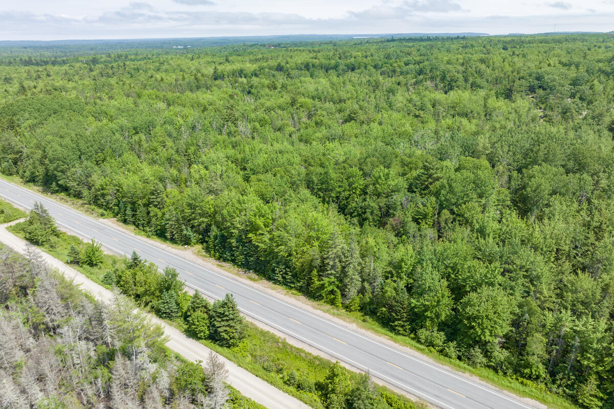 Lot 125 Us Route 1 Milbridge ME 04658