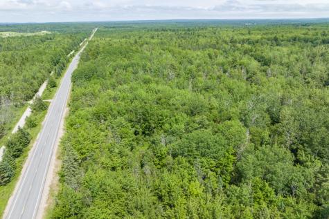 Lot 125 Us Route 1 Milbridge ME 04658