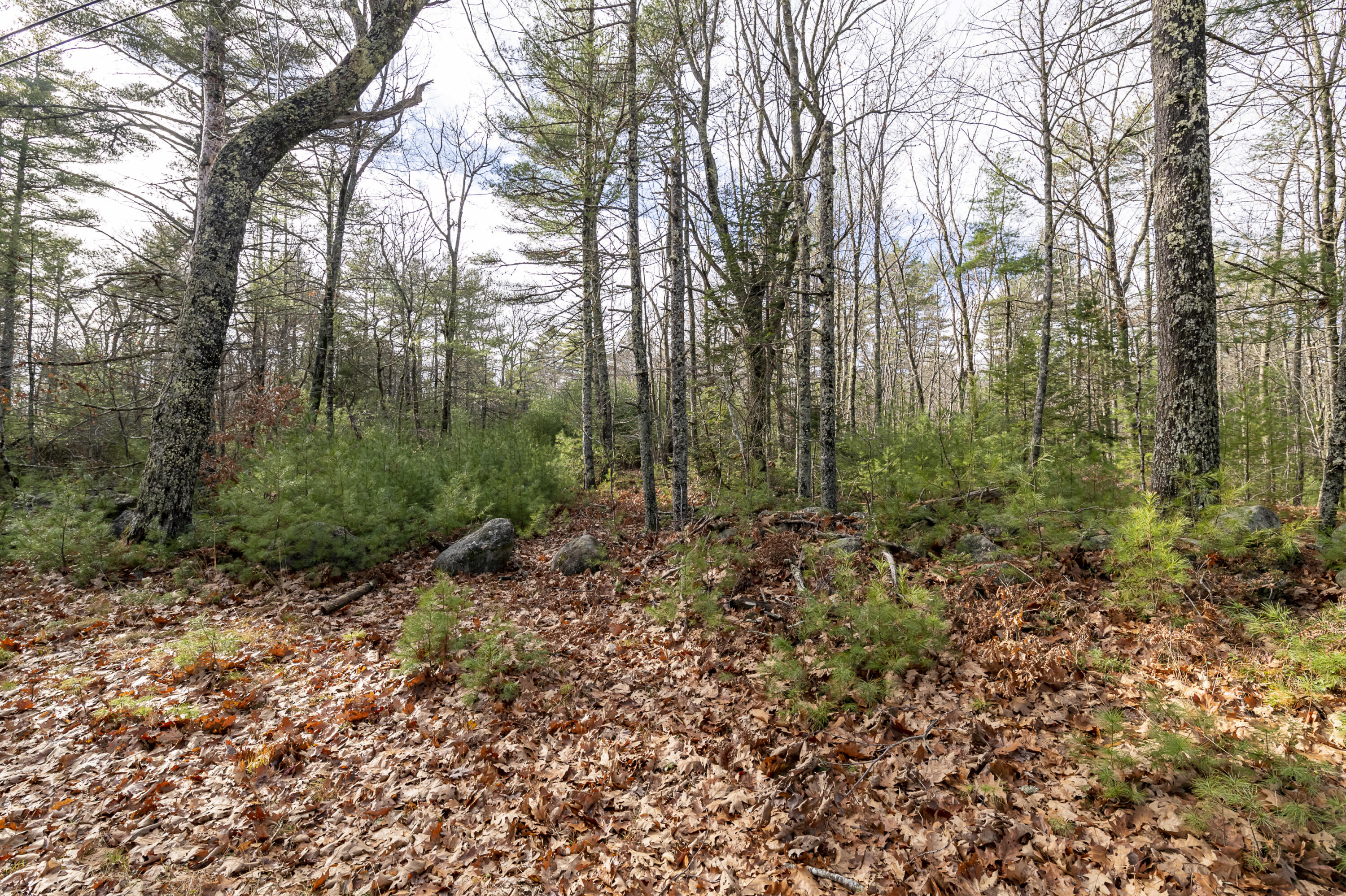 Lot 17-a Hockomock Road Woolwich ME 04579