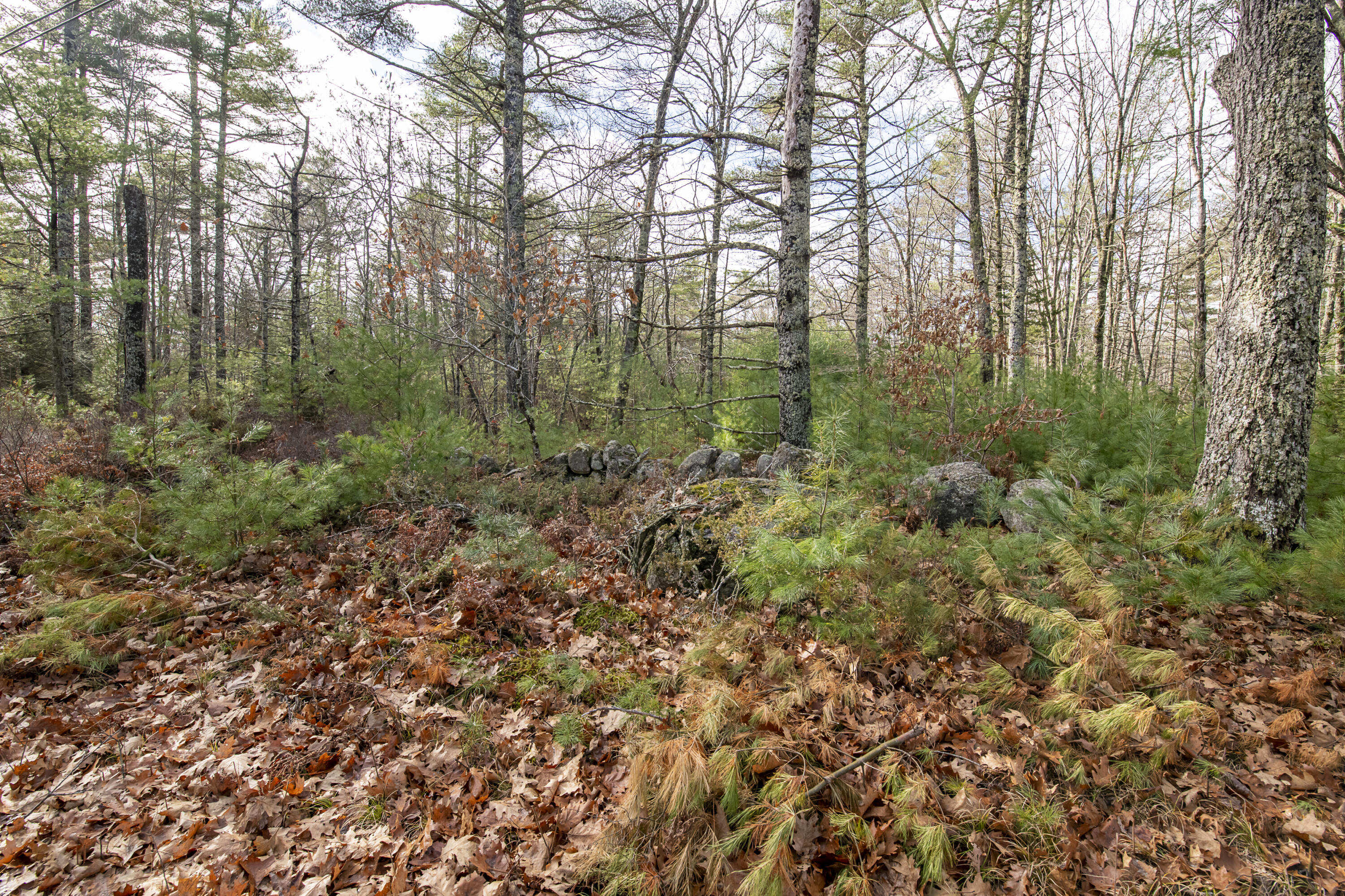 Lot 17-a Hockomock Road Woolwich ME 04579