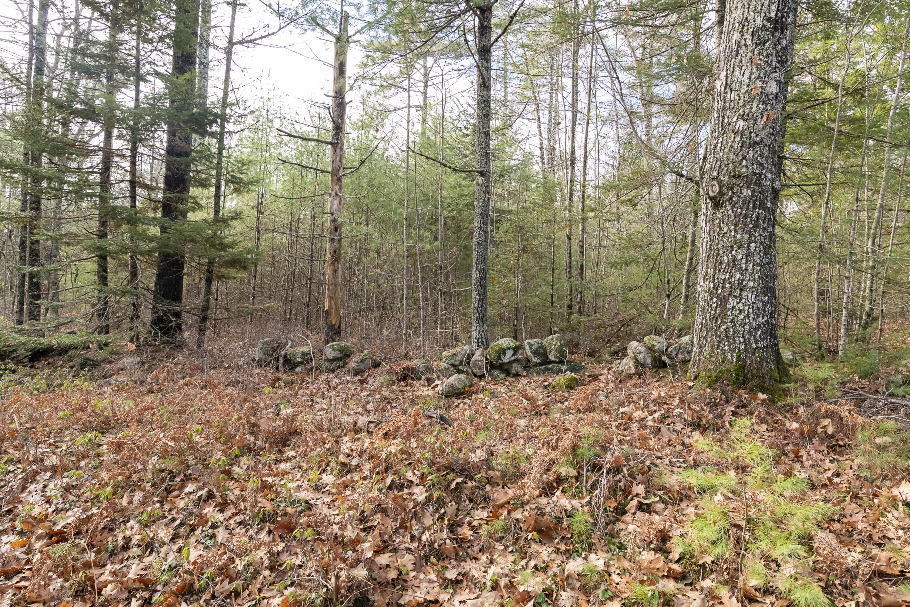 Lot 17-a Hockomock Road Woolwich ME 04579