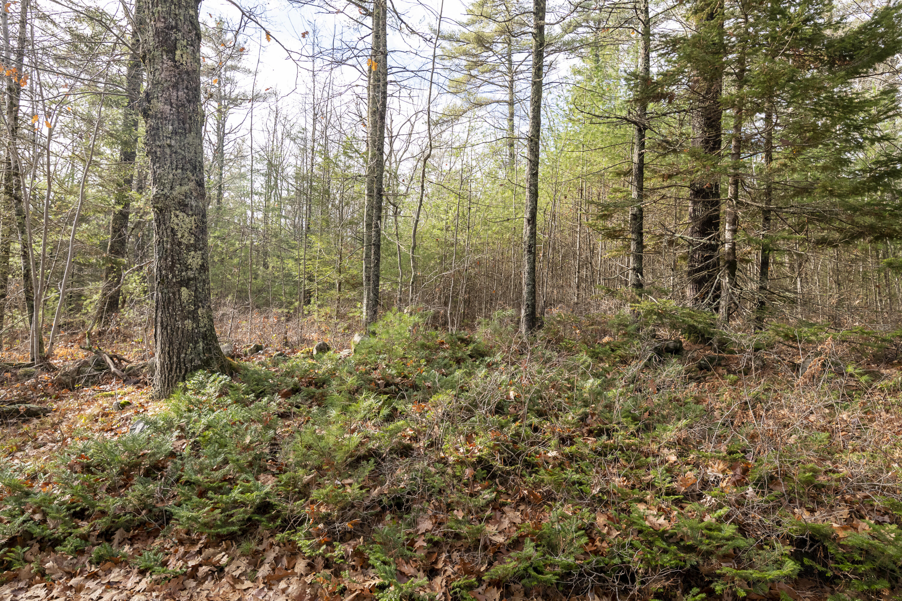 Lot 17-a Hockomock Road Woolwich ME 04579