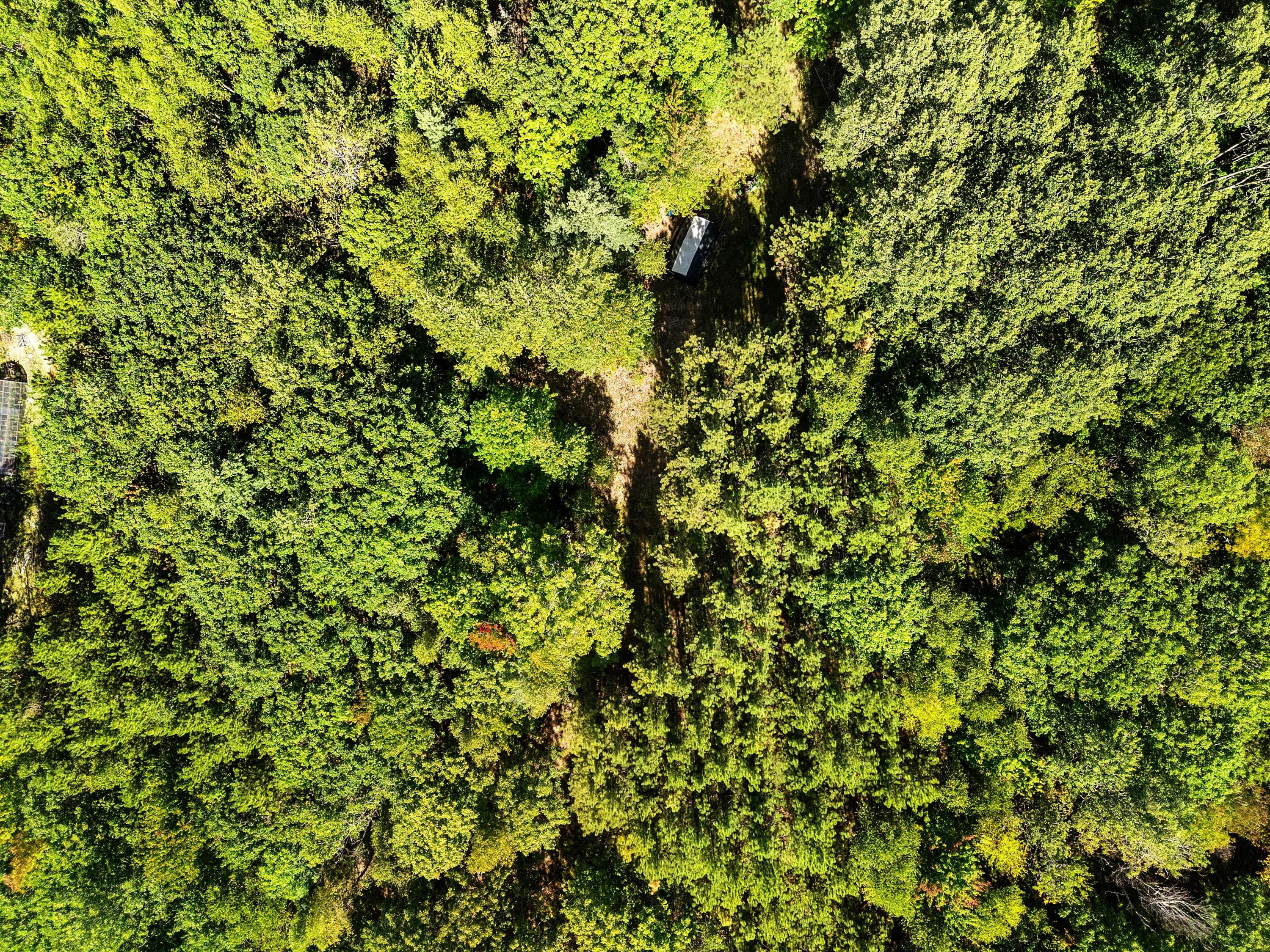 142D Tucker Brook Road Lincolnville ME 04849