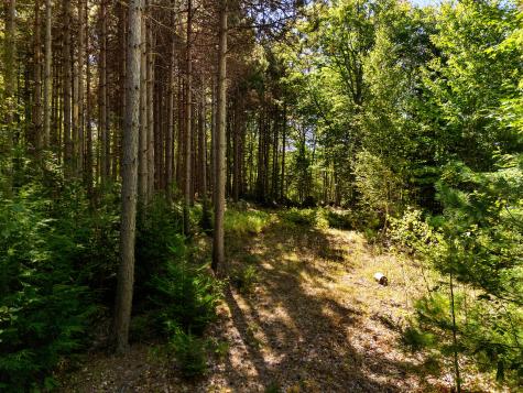 142d Tucker Brook Road Lincolnville ME 04849