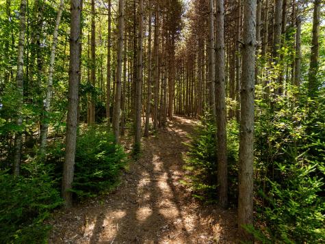 142d Tucker Brook Road Lincolnville ME 04849